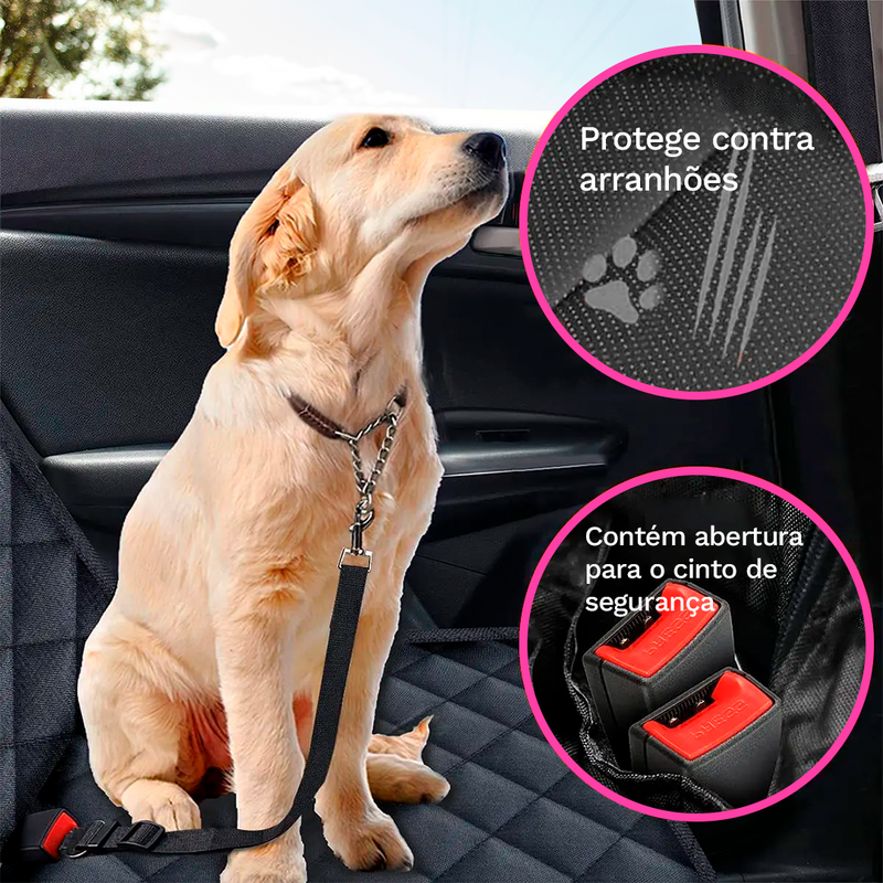 Assento de carro para pets