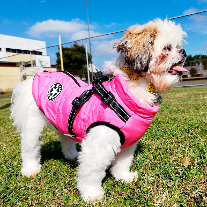 Colete impermeável para cães/gatos