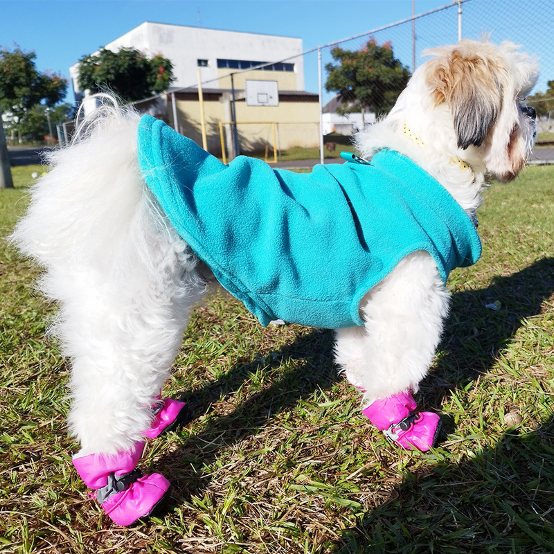 Roupa de lã para cães/gatos